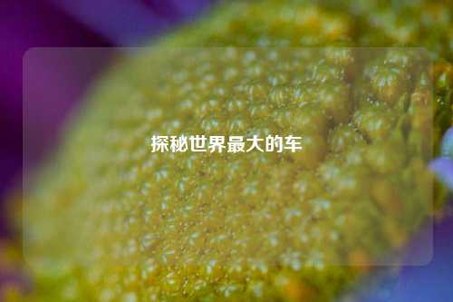 探秘世界最大的车