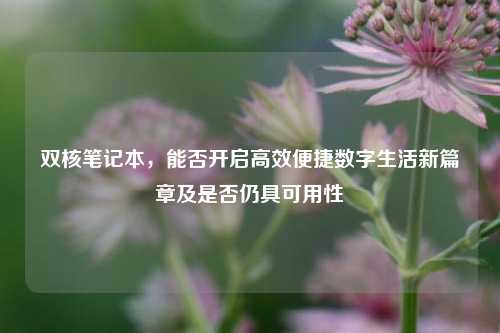 双核笔记本，能否开启高效便捷数字生活新篇章及是否仍具可用性
