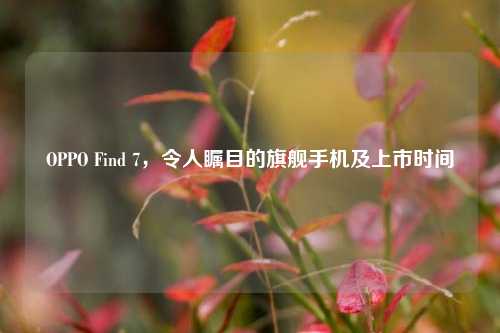 OPPO Find 7，令人瞩目的旗舰手机及上市时间