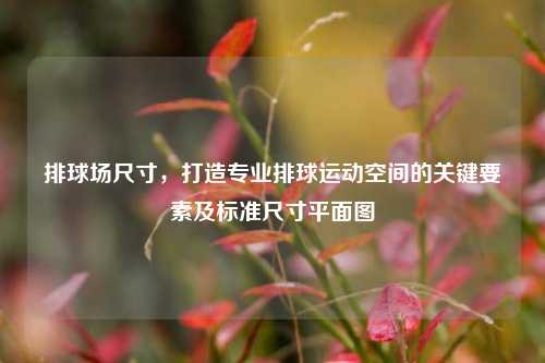 排球场尺寸，打造专业排球运动空间的关键要素及标准尺寸平面图