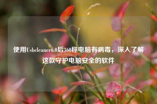 使用Usbcleaner6.0后360称电脑有病毒，深入了解这款守护电脑安全的软件