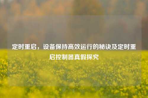 定时重启，设备保持高效运行的秘诀及定时重启控制器真假探究