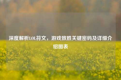 深度解析LOL符文，游戏致胜关键密码及详细介绍图表