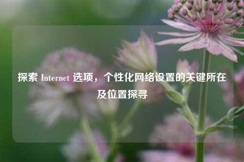探索 Internet 选项，个性化网络设置的关键所在及位置探寻