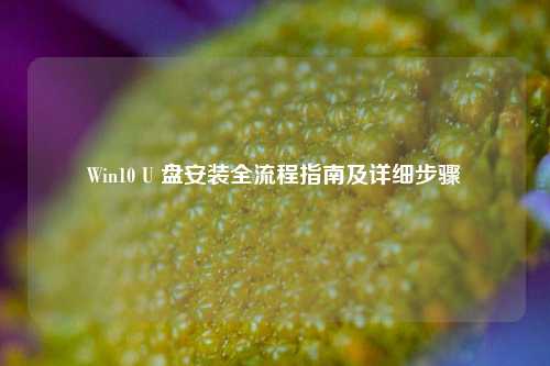 Win10 U 盘安装全流程指南及详细步骤