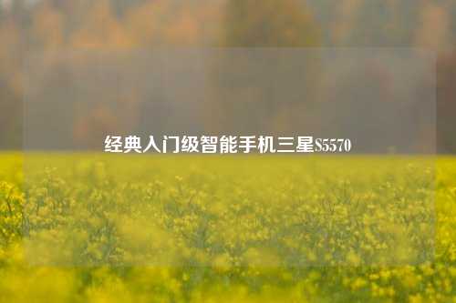 经典入门级智能手机三星S5570