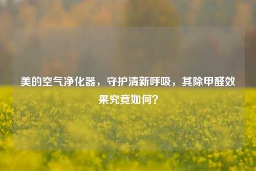美的空气净化器，守护清新呼吸，其除甲醛效果究竟如何？