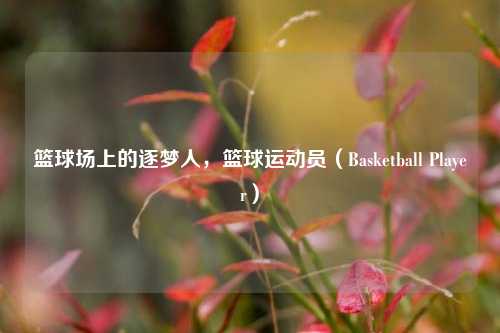 篮球场上的逐梦人，篮球运动员（Basketball Player）