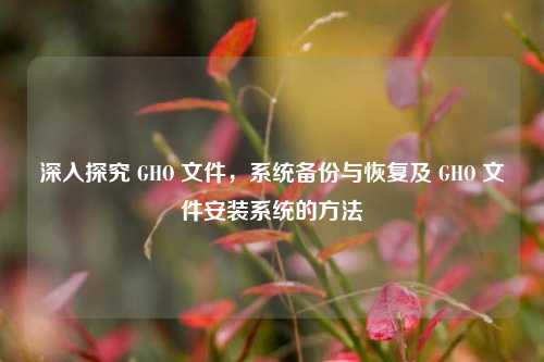 深入探究 GHO 文件，系统备份与恢复及 GHO 文件安装系统的方法