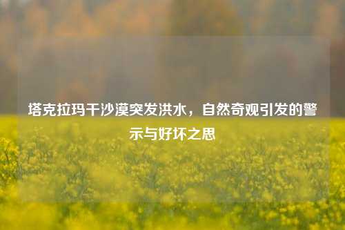 塔克拉玛干沙漠突发洪水,自然奇观引发的警示与好坏之思