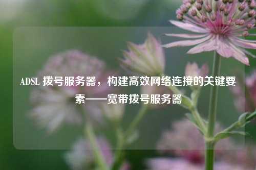 ADSL 拨号服务器，构建高效网络连接的关键要素——宽带拨号服务器