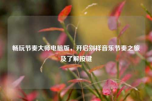 畅玩节奏大师电脑版，开启别样音乐节奏之旅及了解按键