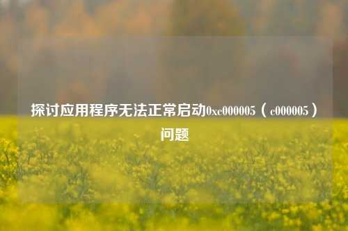 探讨应用程序无法正常启动0xc000005（c000005）问题