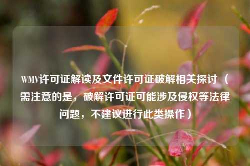 WMV许可证解读及文件许可证破解相关探讨 （需注意的是，破解许可证可能涉及侵权等法律问题，不建议进行此类操作）