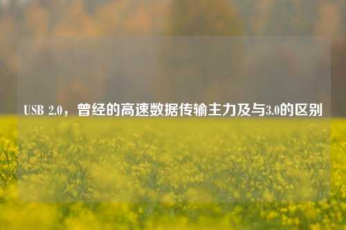 USB 2.0，曾经的高速数据传输主力及与3.0的区别