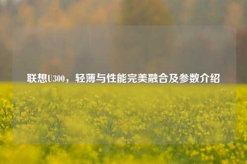 联想U300，轻薄与性能完美融合及参数介绍