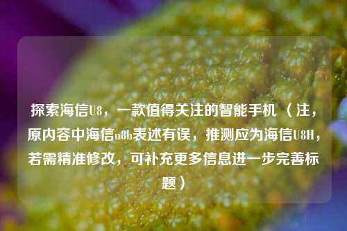 探索海信U8，一款值得关注的智能手机 （注，原内容中海信u8h表述有误，推测应为海信U8H，若需精准修改，可补充更多信息进一步完善标题）
