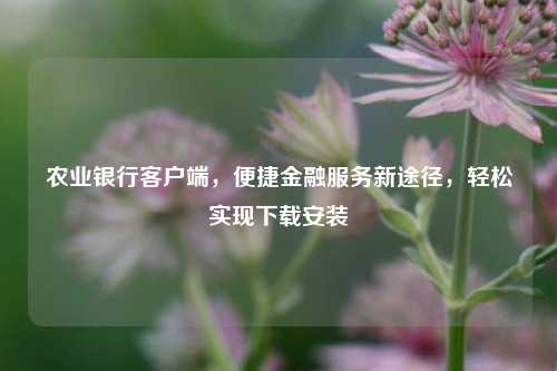 农业银行客户端,便捷金融服务新途径,轻松实现下载安装