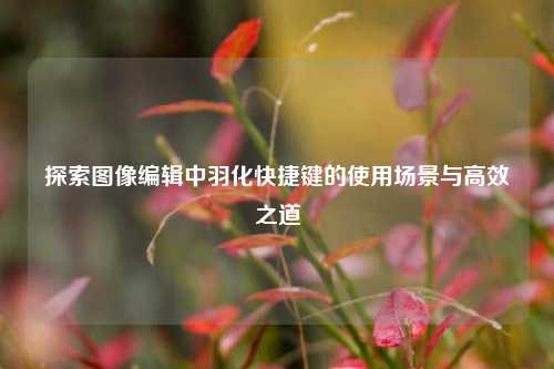 探索图像编辑中羽化快捷键的使用场景与高效之道