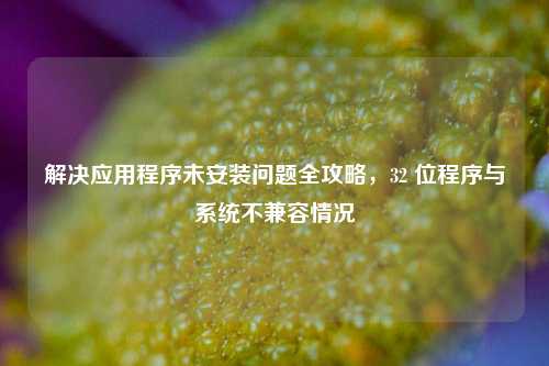解决应用程序未安装问题全攻略,32 位程序与系统不兼容情况