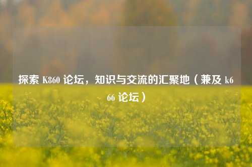 探索 K860 论坛，知识与交流的汇聚地（兼及 k666 论坛）
