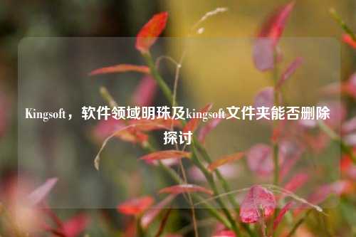 Kingsoft，软件领域明珠及kingsoft文件夹能否删除探讨