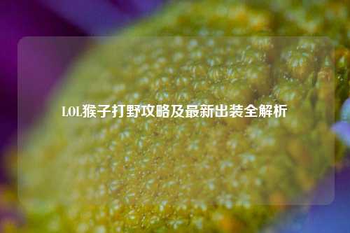 LOL猴子打野攻略及最新出装全解析
