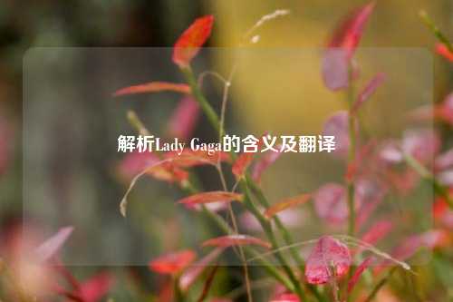 解析Lady Gaga的含义及翻译