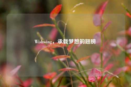 Wishwing，承载梦想的翅膀