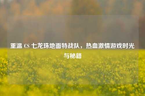 重温 CS 七龙珠地面特战队，热血激情游戏时光与秘籍