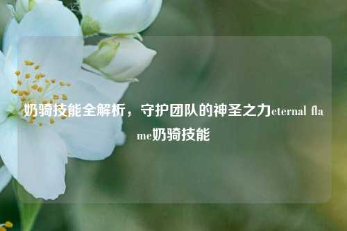 奶骑技能全解析，守护团队的神圣之力eternal flame奶骑技能