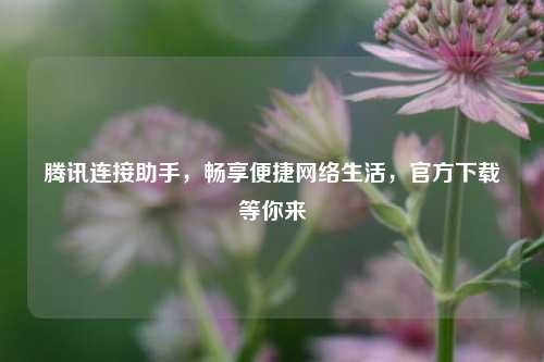 腾讯连接助手，畅享便捷网络生活，官方下载等你来