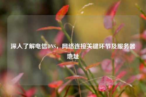 深入了解电信DNS,网络连接关键环节及服务器地址