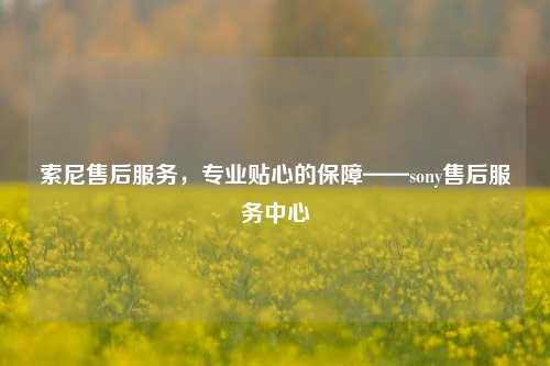 索尼售后服务，专业贴心的保障——sony售后服务中心