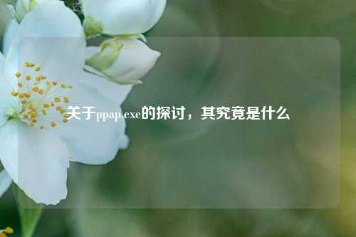 关于ppap.exe的探讨，其究竟是什么