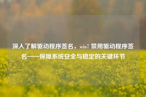 深入了解驱动程序签名,win7 禁用驱动程序签名——保障系统安全与稳定的关键环节