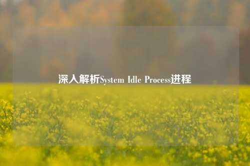 深入解析System Idle Process进程