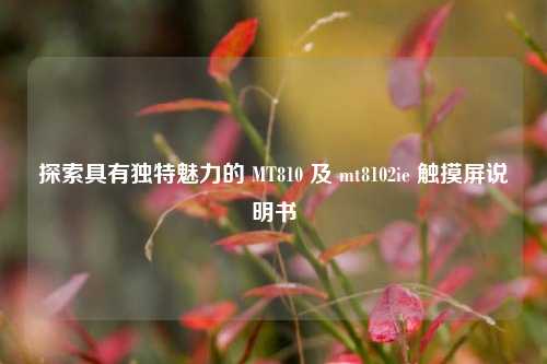 探索具有独特魅力的 MT810 及 mt8102ie 触摸屏说明书