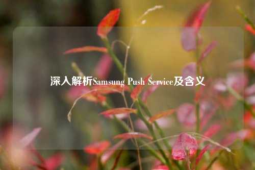 深入解析Samsung Push Service及含义