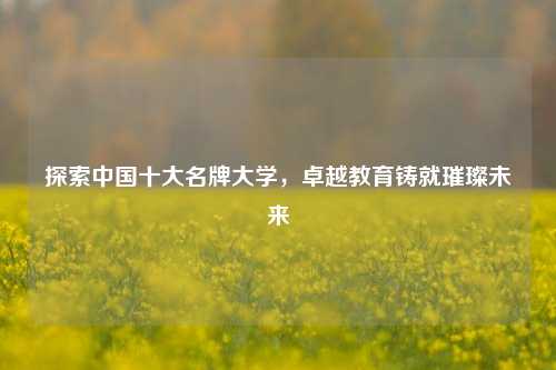 探索中国十大名牌大学，卓越教育铸就璀璨未来