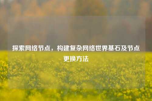 探索网络节点,构建复杂网络世界基石及节点更换方法