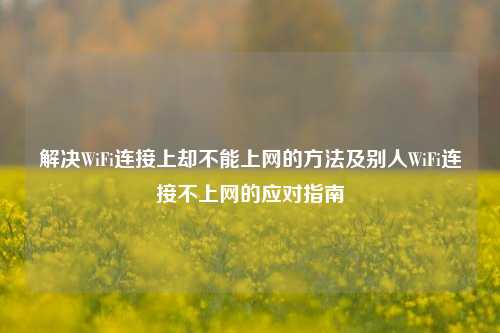 解决WiFi连接上却不能上网的方法及别人WiFi连接不上网的应对指南