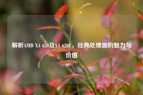 解析AMD X4 620及X4 620E，经典处理器的魅力与价值