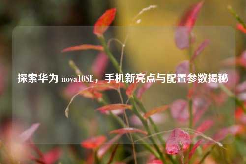 探索华为 nova10SE，手机新亮点与配置参数揭秘