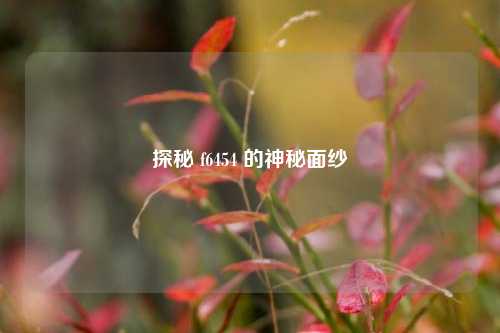 探秘 f6454 的神秘面纱