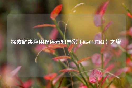 探索解决应用程序未知异常(0xe06d7363)之旅