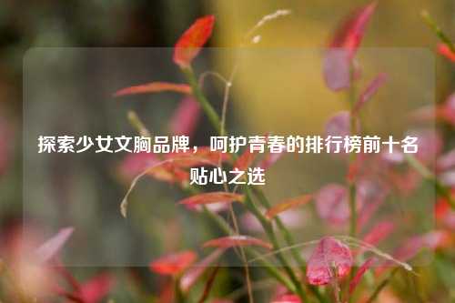 探索少女文胸品牌,呵护青春的排行榜前十名贴心之选