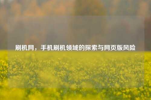 刷机网，手机刷机领域的探索与网页版风险