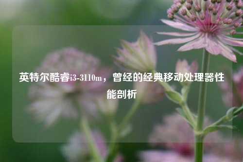 英特尔酷睿i3-3110m，曾经的经典移动处理器性能剖析