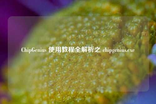 ChipGenius 使用教程全解析之 chipgenius.exe